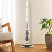Безжични прахосмукачки Electrolux: десетка най-добри модели на шведската марка + съвети за купувача