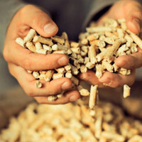 Кое е по-добро и по-евтино — пелети или газхолдер? Сравнение на основните характеристики
