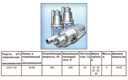 Technische Daten der Pumpe Rutschejok