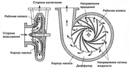 Схема на работа на водна помпа Калибър Принцип на действие на центробежна помпа