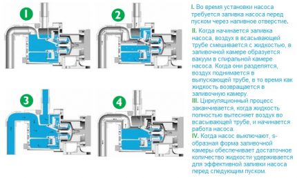 Принцип на работа на самозасмукателна центробежна помпа Схема на работа на самозасмукателна помпа