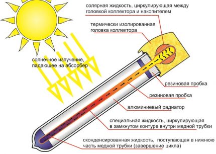 Устройство на вакуумна тръба на слънчев колектор Термотръба на слънчев колектор