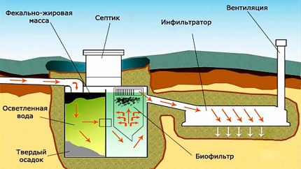Procesul de epurare a apelor uzate în fosa septică Tanc