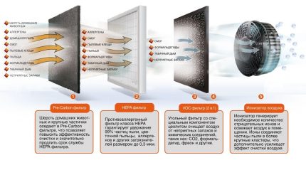 Funktionsprinzip eines Luftreinigers für Allergiker und Asthmatiker Schema der Funktionsweise des Feinfiltersystems