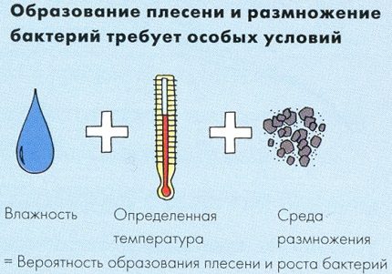 Условия за гъбички
