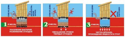 Почистване с биоактиватори