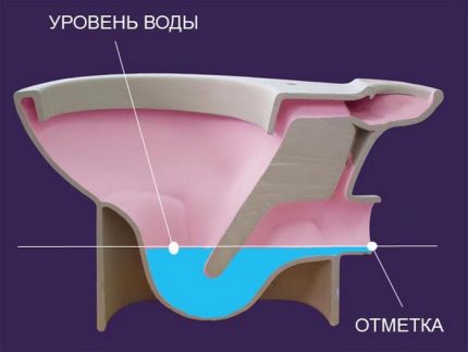 Сифон на тоалетната