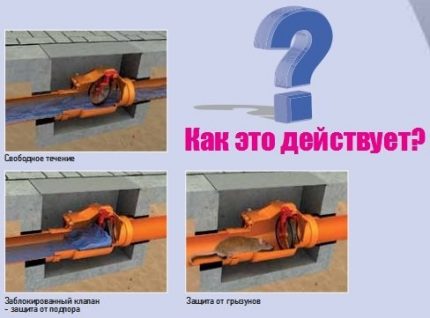 Принцип на работа на възвратния клапан