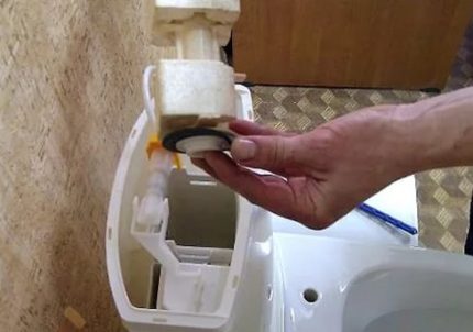 Подмяна на гумената мембрана