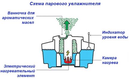 Парен овлажнител