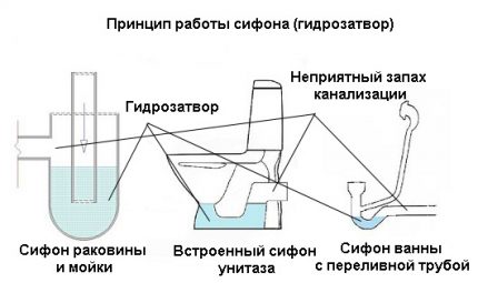 Видове санитарни сифони