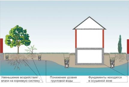Схема на дренажната система