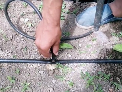 Пробиване на запушването в тръбата с крачен помп. Пробиване на запушването в тръбата с крачен помп.