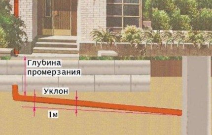 Ниво на замръзване на почвата