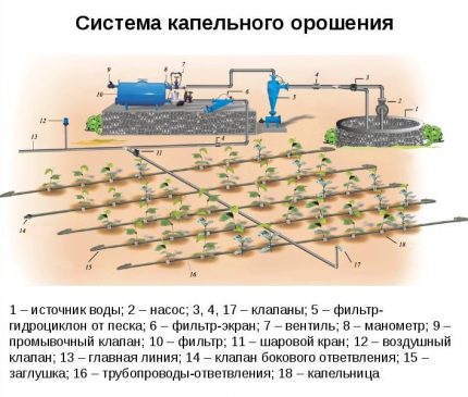 Схема на системата за капково напояване Схема на системата за капково напояване