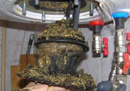 Austausch des Heizelements des Warmwasserbereiters