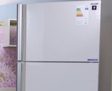 Kühlschrank Sharp SJ-XE55PMBE