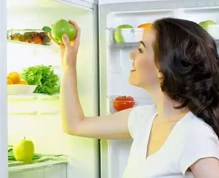 Kühlschrank mit Luftionisator