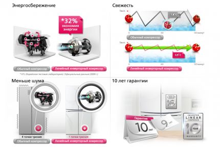Въздействие на температурните колебания върху зеленчуците