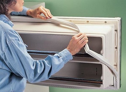 Austausch der Dichtungskontur am Kühlschrank
