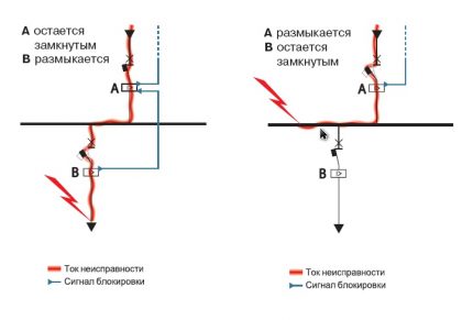 Зонна селективност