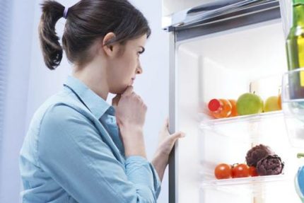Предимства на хладилника за продажба