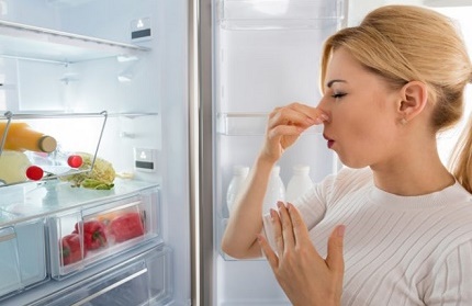 Verderb von Lebensmitteln durch niedrige Temperaturen