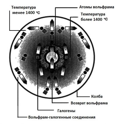 Схема на халогено-волфрамовия цикъл