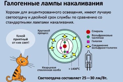 Как се получава светенето на халогенната крушка Особености на халогенните лампи