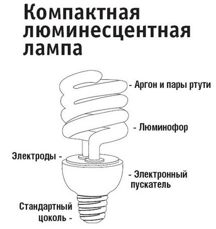 Строеж на компактния луминесцент Устройство на компактни луминесцентни лампи