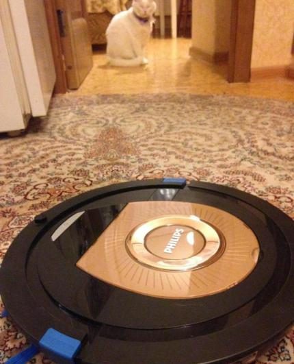Reinigung des Wohnungsbodens