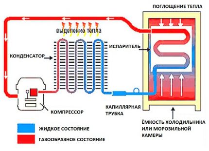 При повреда на компресора в камерите на агрегата ще бъде топло Схема на работа на хладилника