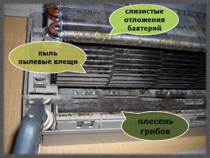 Невидими врагове на здравето в климатика