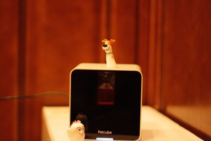 Устройство Petcube Interactive Camera
