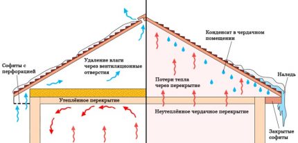 Изолация на таван