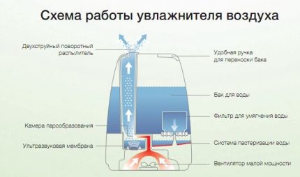 Принцип на работа на УЗ овлажнител на въздуха Принцип на работа на УЗ овлажнител на въздуха