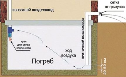 Схема на устройството на вентилация в мазето