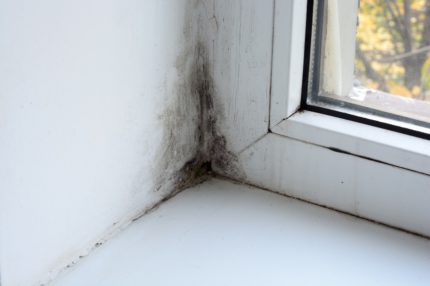 Плесента като резултат от лош въздухообмен