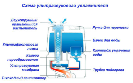 Schema eines Ultraschall-Luftbefeuchters