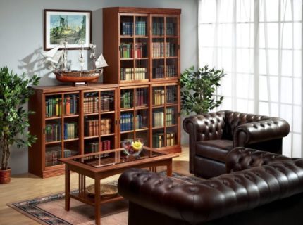 Hausbibliothek mit Bücherschrank